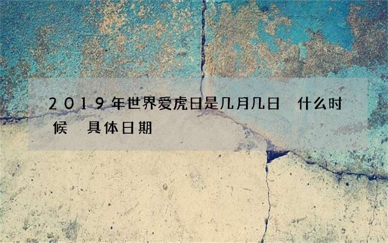 2019年世界爱虎日是几月几日 什么时候 具体日期